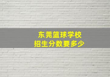 东莞篮球学校招生分数要多少