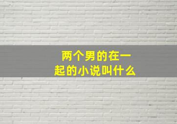 两个男的在一起的小说叫什么