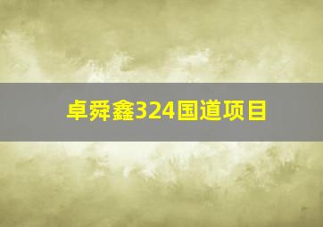 卓舜鑫324国道项目