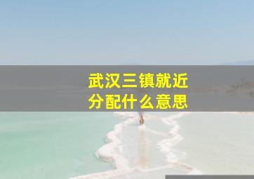 武汉三镇就近分配什么意思